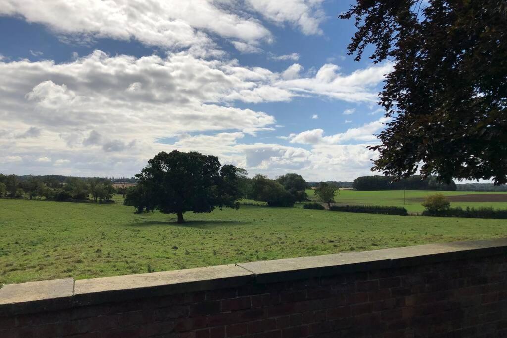 Hall Cottage, Wighill Near York And Leeds Tadcaster Dış mekan fotoğraf